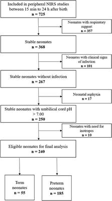 Peripheral muscle fractional tissue oxygen extraction in stable term and preterm neonates during the first 24 h after birth